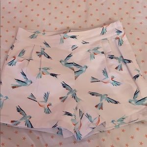 Cute hummingbird pattern shorts size 8 girls